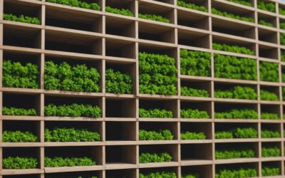 Wie Bio-Baumaterialien die Energieeffizienz von Gebäuden steigern können